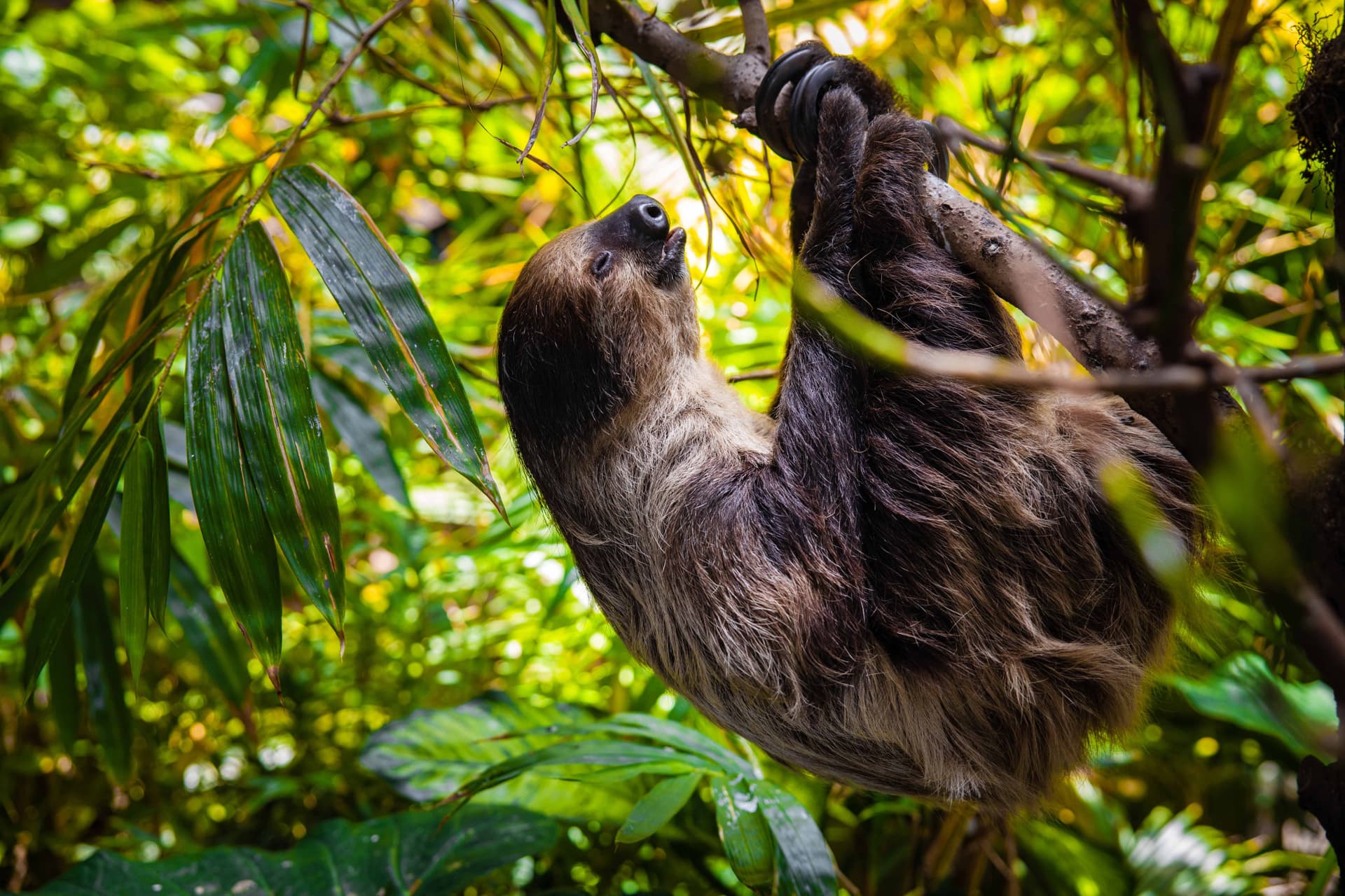 Amazing Dubai Pass - image 18